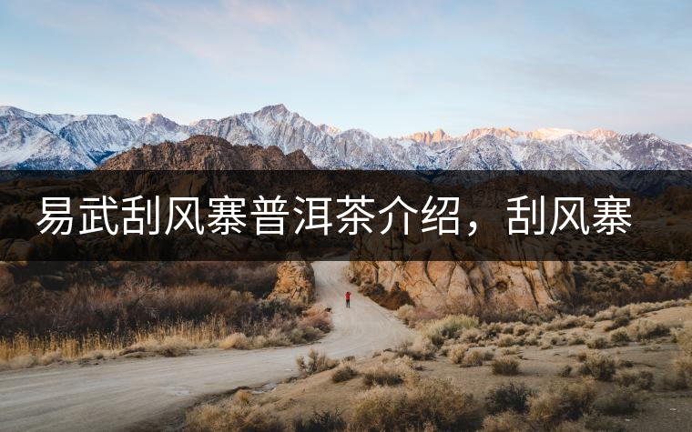 易武刮風(fēng)寨普洱茶介紹，刮風(fēng)寨古樹茶口感特點(diǎn)