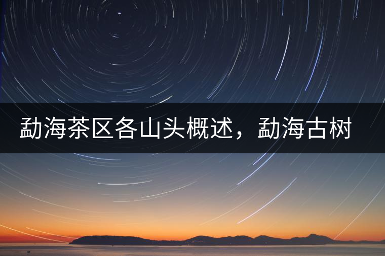 勐海茶區(qū)各山頭概述，勐海古樹(shù)茶口感特點(diǎn)