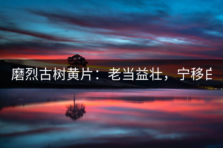 磨烈古樹黃片：老當(dāng)益壯，寧移白首之心！