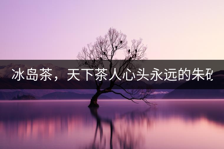 冰島茶，天下茶人心頭永遠的朱砂痣！