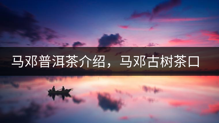 馬鄧普洱茶介紹，馬鄧古樹茶口感特點