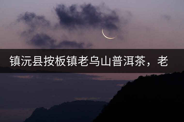 鎮(zhèn)沅縣按板鎮(zhèn)老烏山普洱茶，老烏山古樹茶口感特點(diǎn)