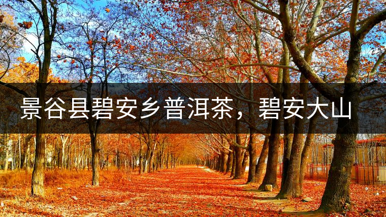 景谷縣碧安鄉(xiāng)普洱茶，碧安大山古樹(shù)茶口感特點(diǎn)