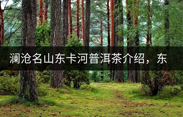 瀾滄名山東卡河普洱茶介紹，東卡河古樹茶口感特點(diǎn)