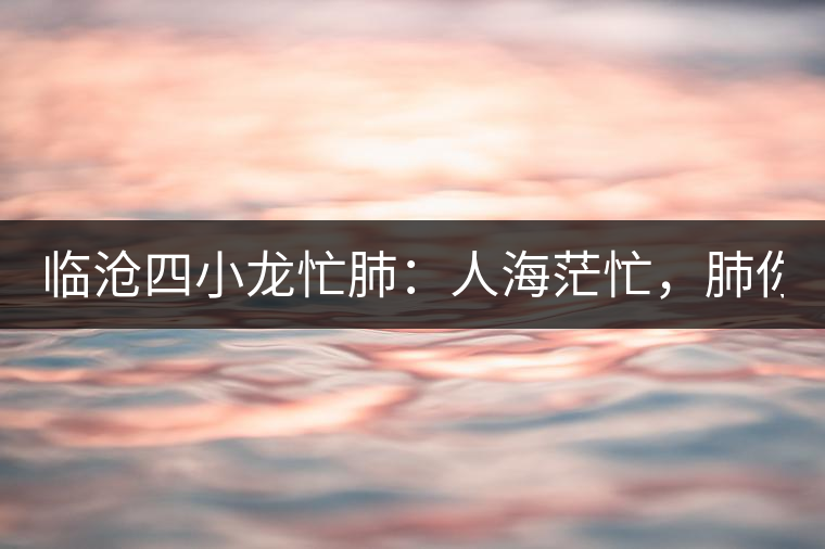 臨滄四小龍忙肺：人海茫忙，肺你莫屬！