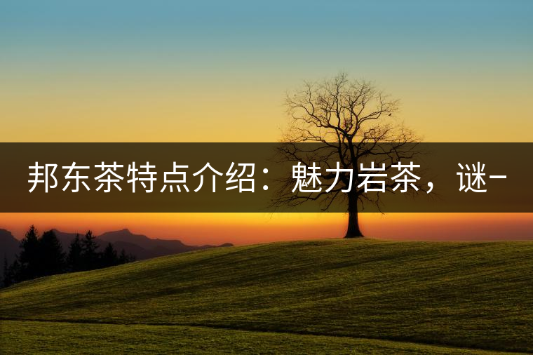 邦東茶特點(diǎn)介紹：魅力巖茶，謎一樣的邦東！