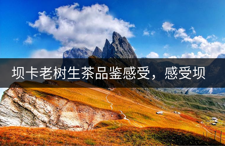 壩卡老樹(shù)生茶品鑒感受，感受壩卡茶的魅力