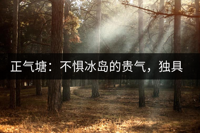 正氣塘：不懼冰島的貴氣，獨具冰島之魅力