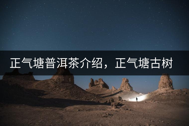 正氣塘普洱茶介紹，正氣塘古樹茶口感特點(diǎn)