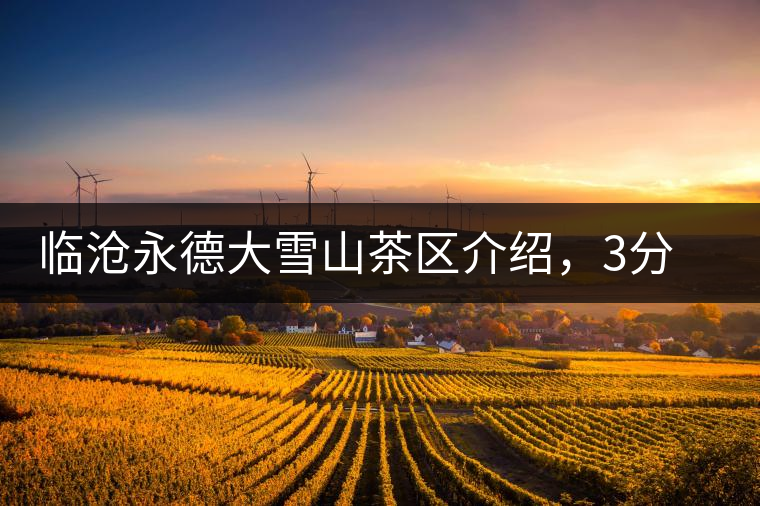 臨滄永德大雪山茶區(qū)介紹，3分鐘了解永德大雪山古樹茶