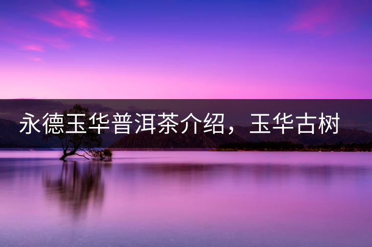 永德玉華普洱茶介紹，玉華古樹茶口感特點