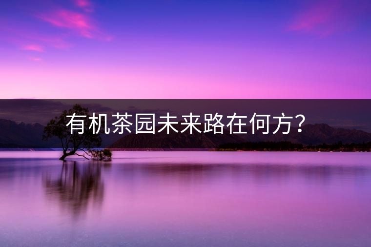 有機(jī)茶園未來(lái)路在何方？