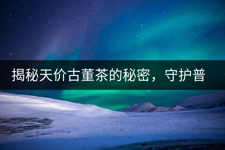 揭秘天價(jià)古董茶的秘密，守護(hù)普洱茶的健康發(fā)展