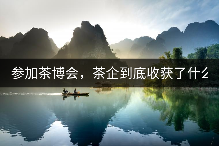 參加茶博會(huì)，茶企到底收獲了什么？