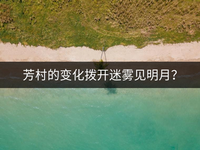 芳村的變化撥開(kāi)迷霧見(jiàn)明月？