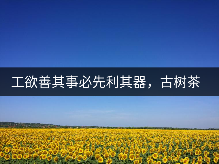 工欲善其事必先利其器，古樹茶用什么茶器最好？