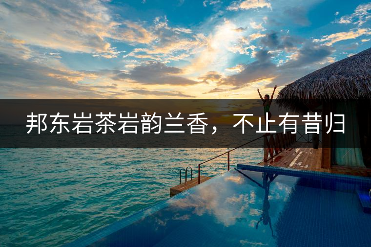 邦東巖茶巖韻蘭香，不止有昔歸