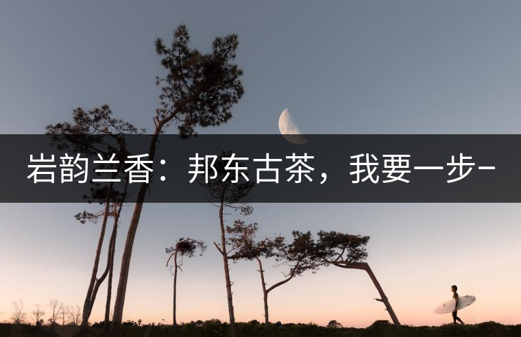 巖韻蘭香：邦東古茶，我要一步一步往上爬！