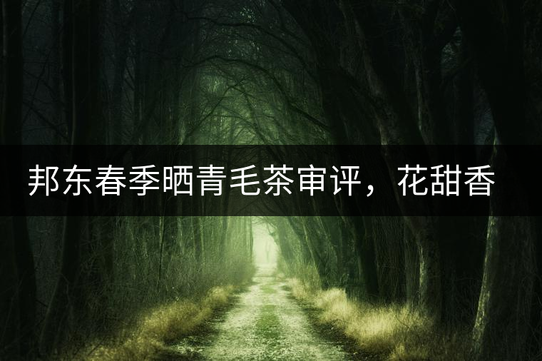 邦東春季曬青毛茶審評(píng)，花甜香高揚(yáng)甘爽潤滑