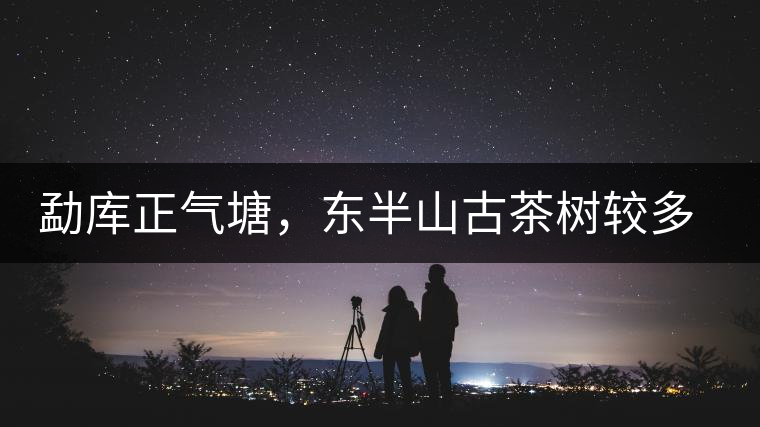 勐庫正氣塘，東半山古茶樹較多的寨子