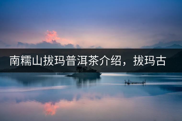 南糯山拔瑪普洱茶介紹，拔瑪古樹茶口感特點(diǎn)