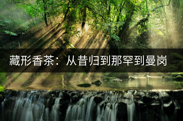 藏形香茶：從昔歸到那罕到曼崗，邦東古茶藏著一條規(guī)律！