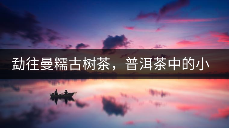 勐往曼糯古樹茶，普洱茶中的小班章