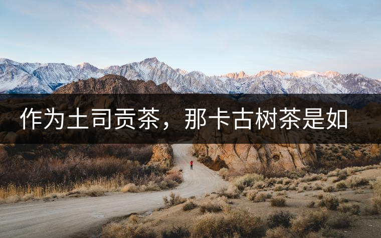 作為土司貢茶，那卡古樹(shù)茶是如何在眾多茶中脫穎而出的