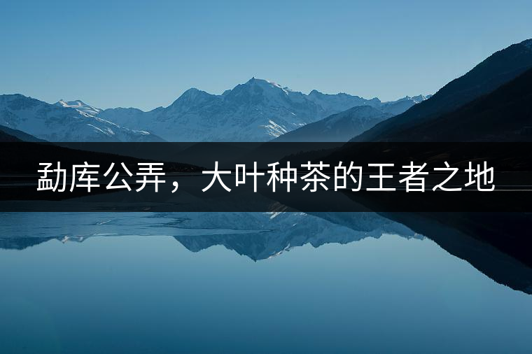 勐庫(kù)公弄，大葉種茶的王者之地