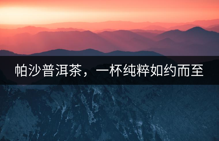 帕沙普洱茶，一杯純粹如約而至