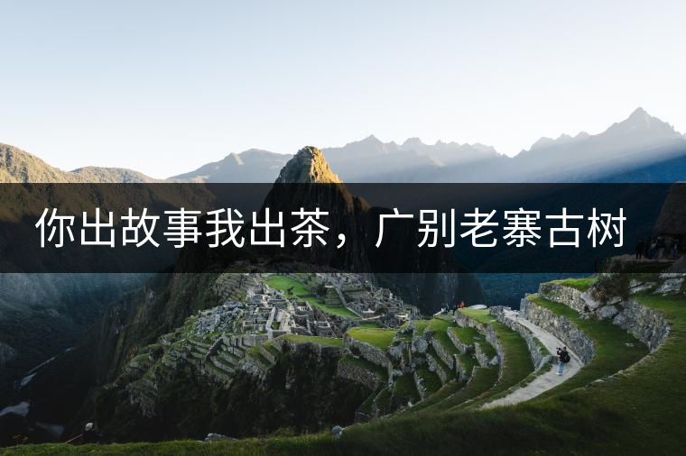 你出故事我出茶，廣別老寨古樹妖茶