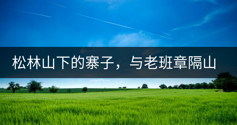 松林山下的寨子，與老班章隔山相望的廣別老寨