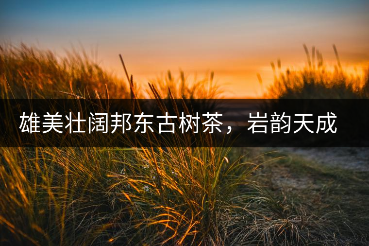 雄美壯闊邦東古樹茶，巖韻天成甘香鮮靈