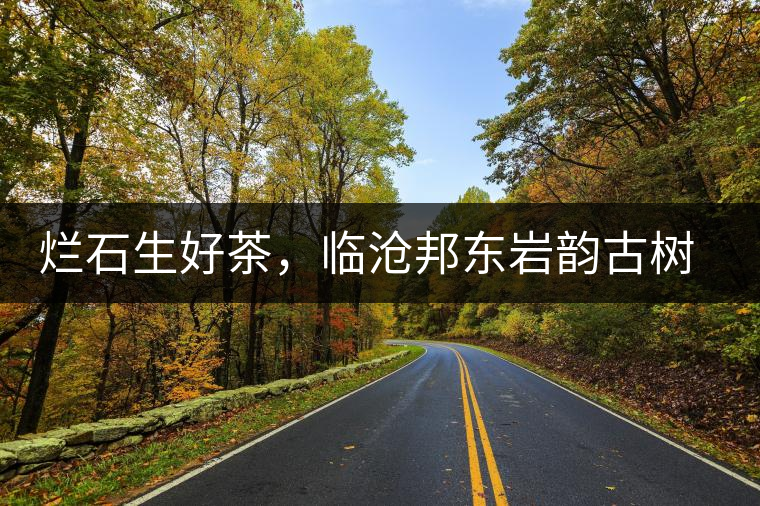 爛石生好茶，臨滄邦東巖韻古樹普洱茶