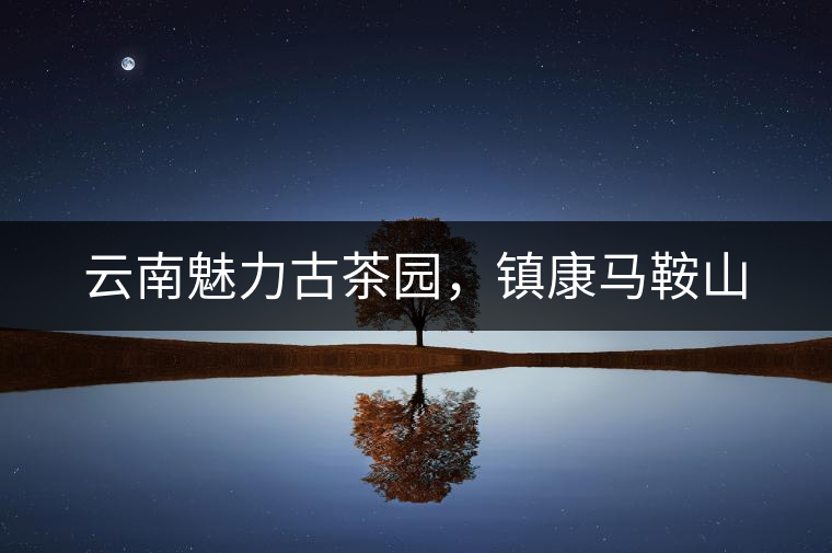 云南魅力古茶園，鎮(zhèn)康馬鞍山