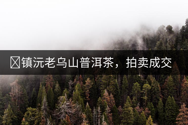 ?鎮(zhèn)沅老烏山普洱茶，拍賣成交價再創(chuàng)新高