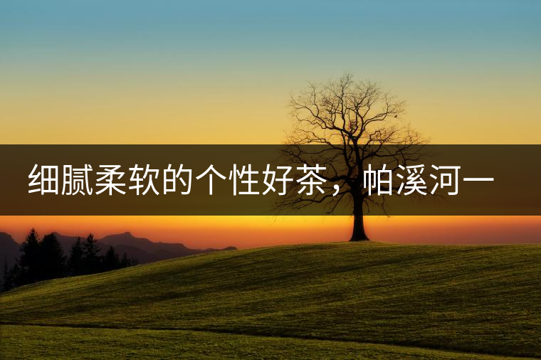 細膩柔軟的個性好茶，帕溪河一扇磨古樹茶