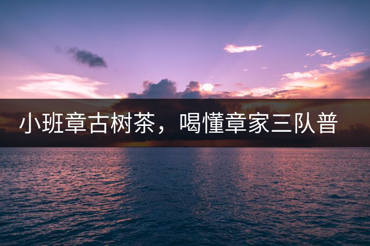 小班章古樹茶，喝懂章家三隊(duì)普洱茶