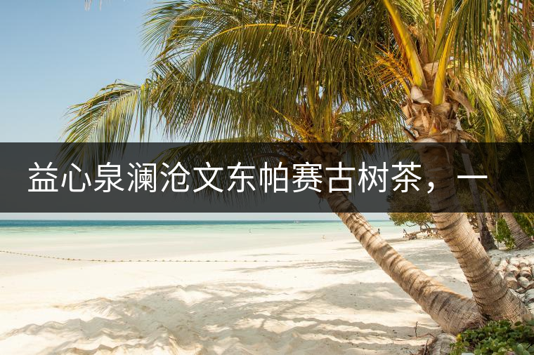 益心泉瀾滄文東帕賽古樹茶，一山茶兩岸香