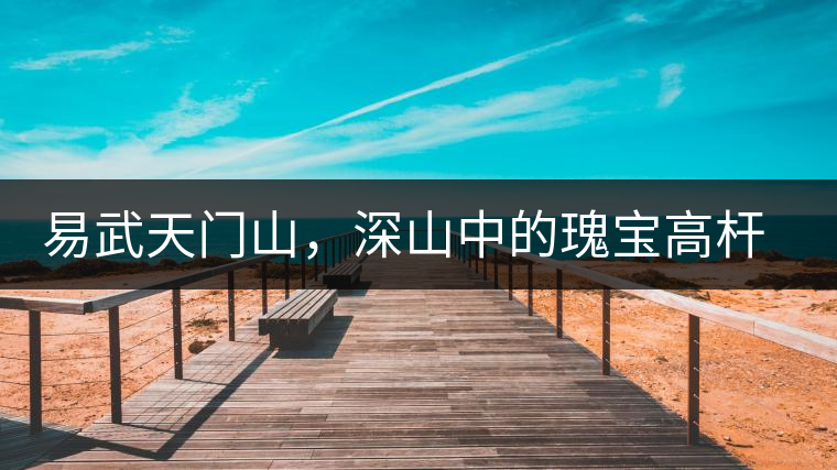 易武天門山，深山中的瑰寶高桿古樹