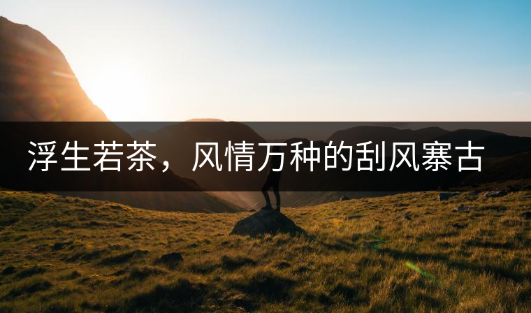 浮生若茶，風情萬種的刮風寨古樹茶