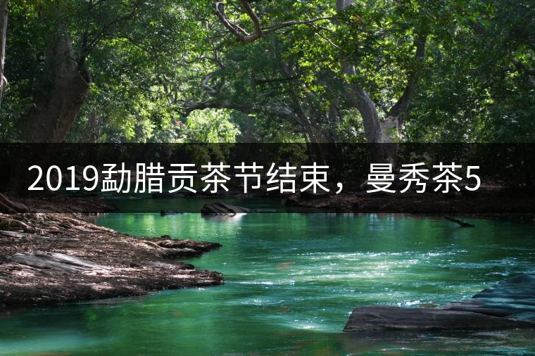 2019勐臘貢茶節(jié)結(jié)束，曼秀茶5公斤107萬奪得金獎
