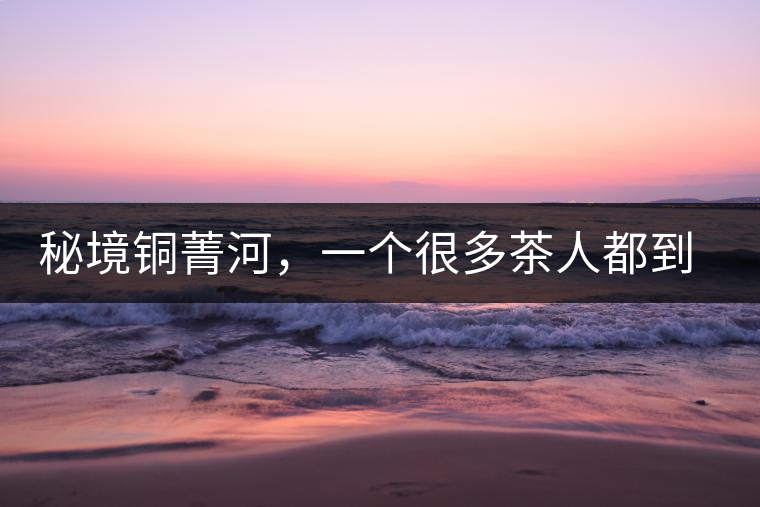 秘境銅菁河，一個(gè)很多茶人都到不了的地方