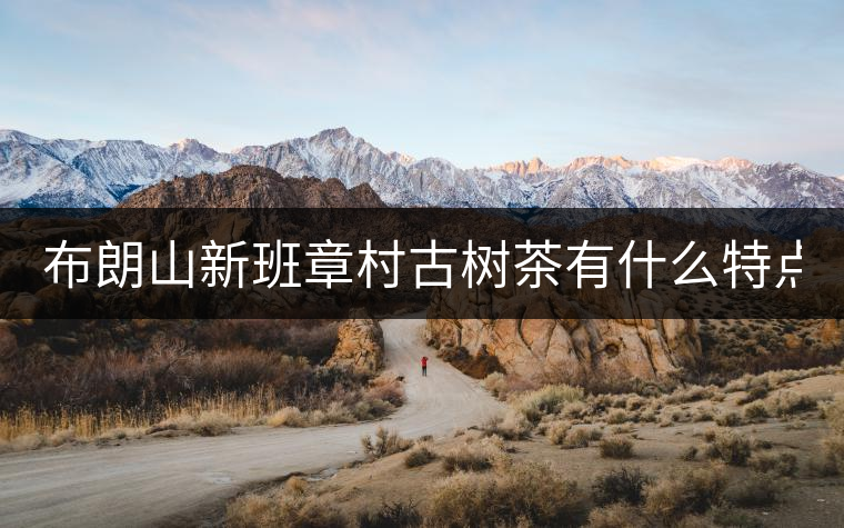 布朗山新班章村古樹茶有什么特點(diǎn)？