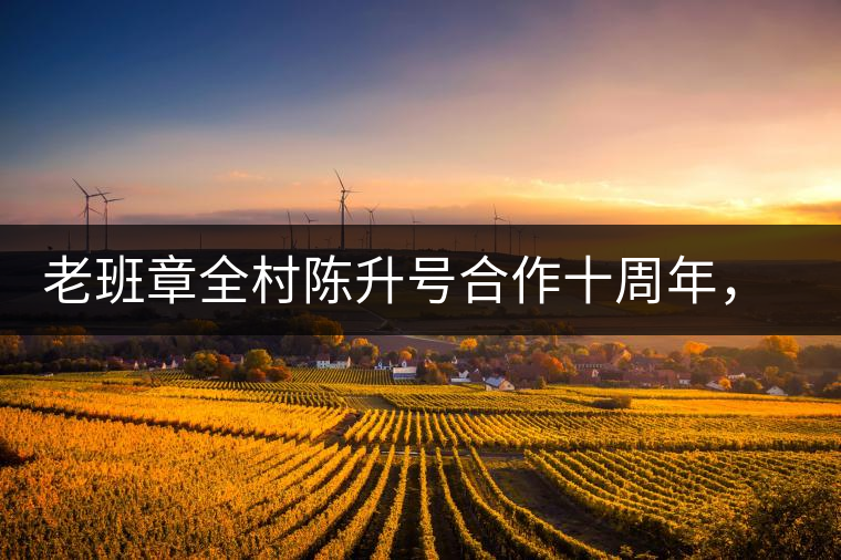 老班章全村陳升號合作十周年，贈送千兩百家茶