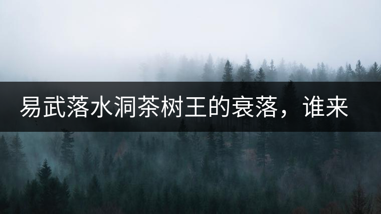 易武落水洞茶樹王的衰落，誰來關(guān)注古樹茶？