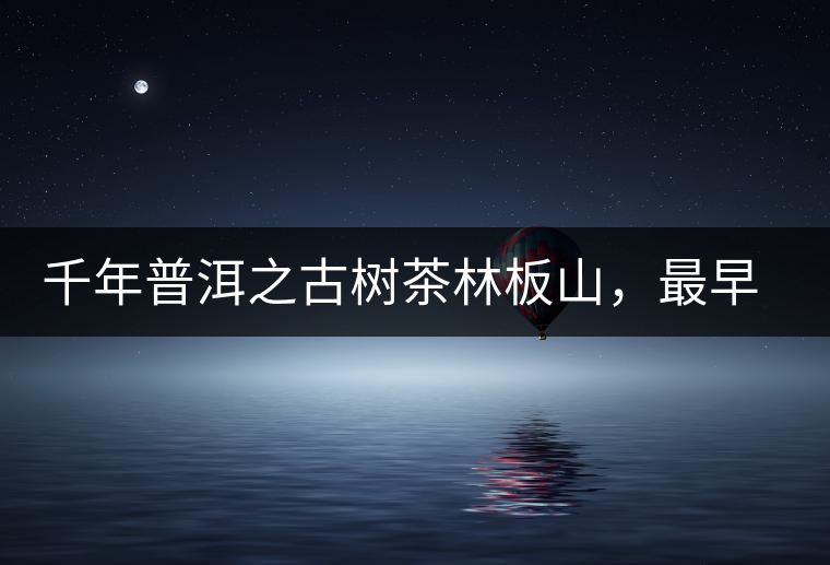 千年普洱之古樹茶林板山，最早的貢茶產地和皇家茶園