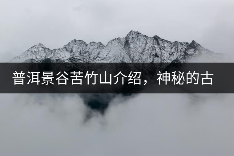 普洱景谷苦竹山介紹，神秘的古樹普洱茶原產(chǎn)地