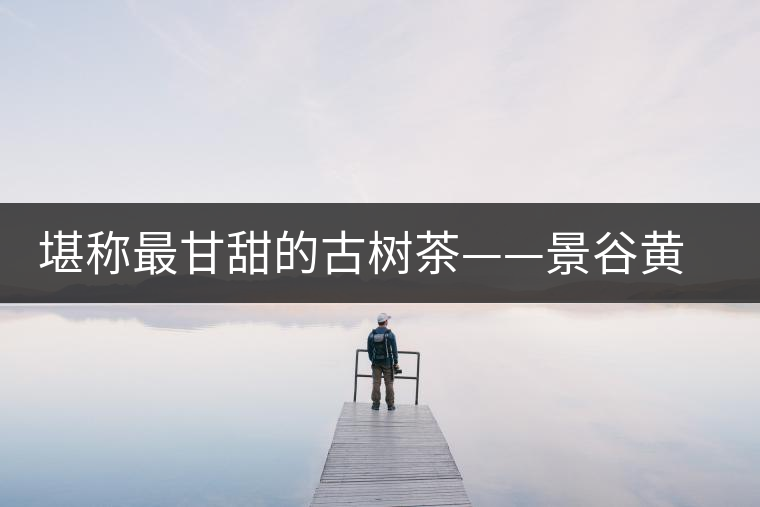 堪稱最甘甜的古樹茶——景谷黃草壩普洱茶