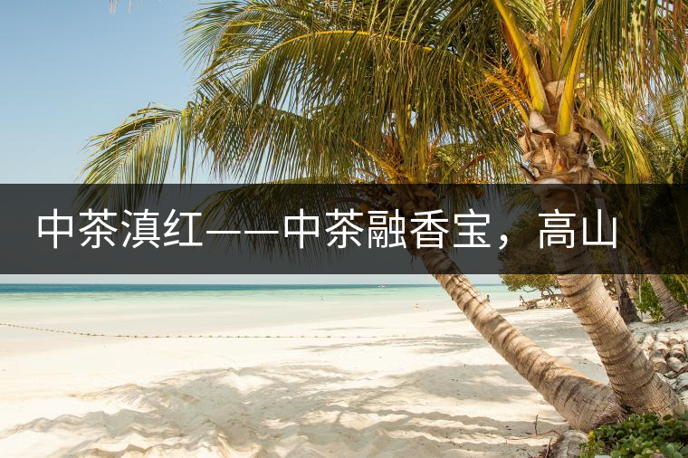 中茶滇紅——中茶融香寶，高山烏龍茶